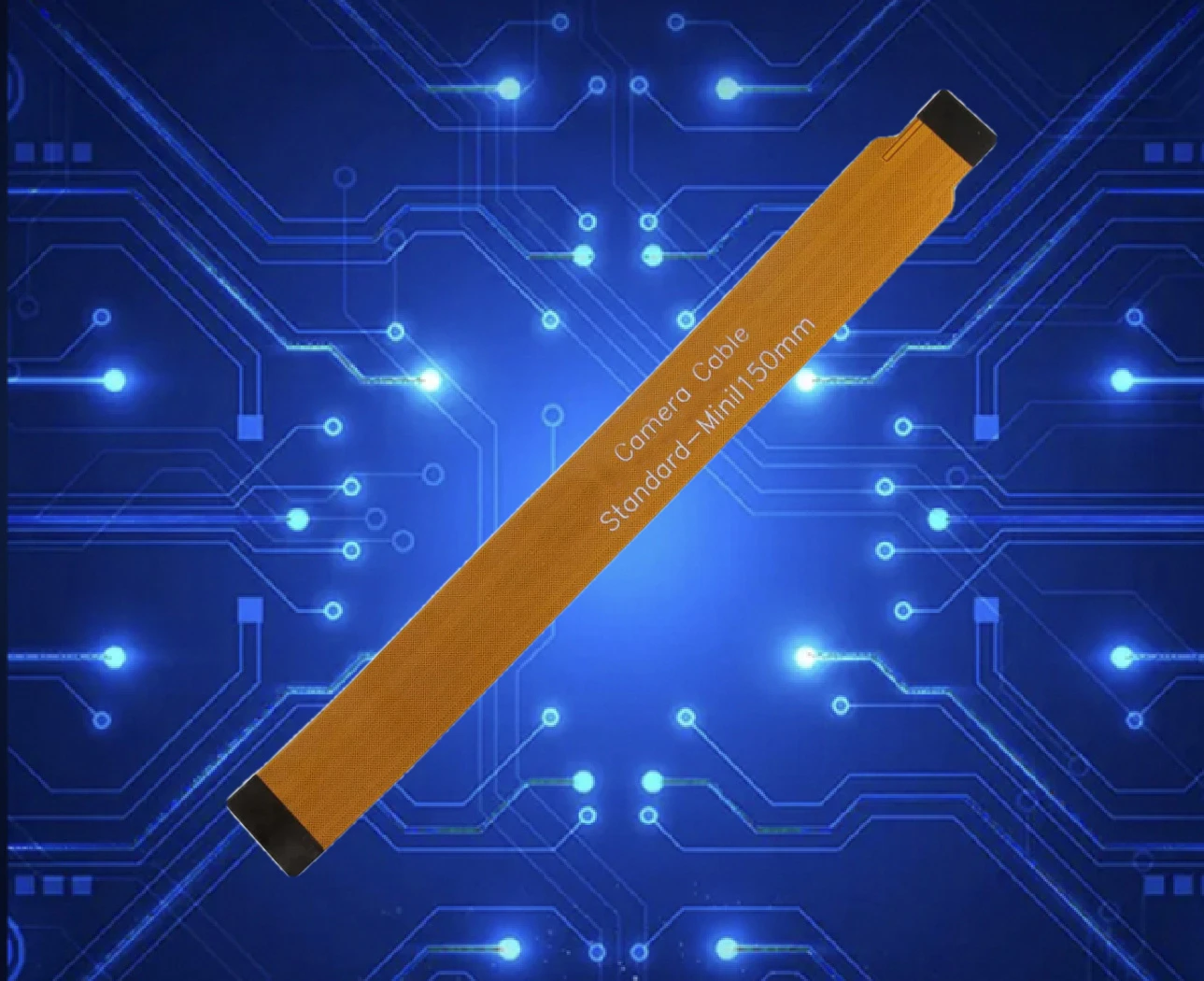 42 42